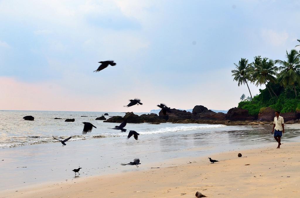 Ocean Green Kerala Kannur Exterior foto