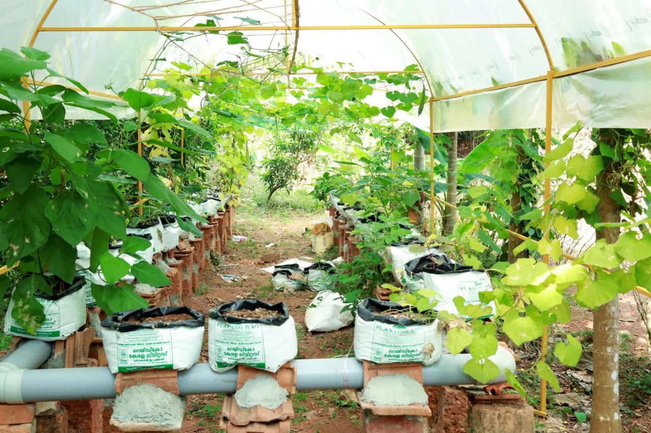 Ocean Green Kerala Kannur Exterior foto